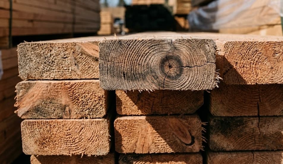 Close-up of wood grain texture showing natural beauty
